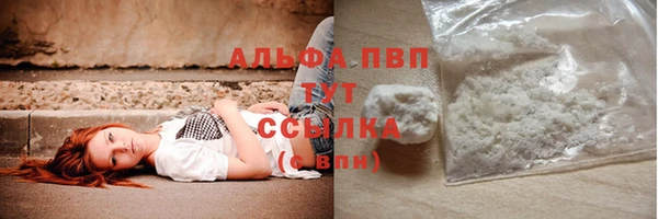 прущие грибы Абинск