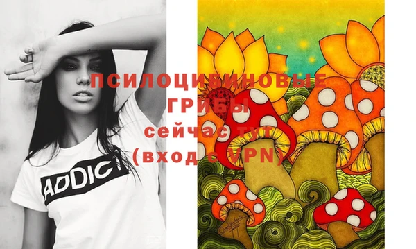дурь Протвино