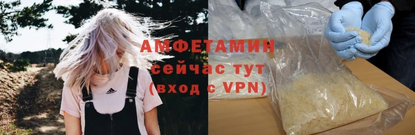 прущие грибы Абинск