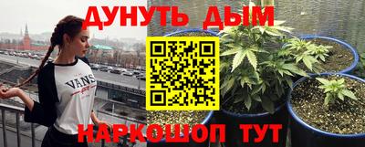 спайс Краснодар