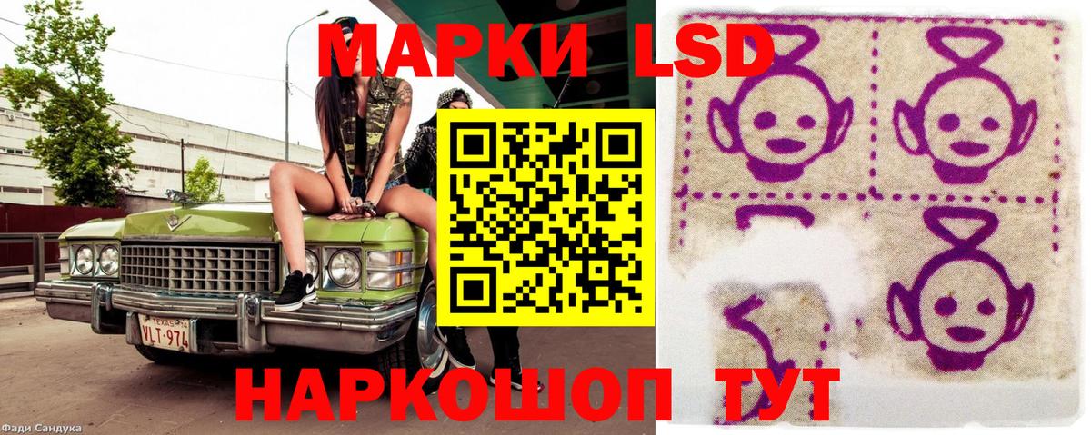 Марки NBOMe  Вход с VPN  Камышлов  Марки 25I-NBOMe 1,5мг  Марки 25I-NBOMe 1,5мг 