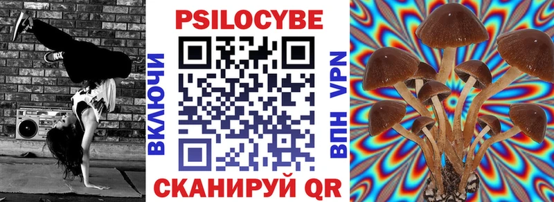Псилоцибиновые грибы мухоморы  хочу   Камышлов 