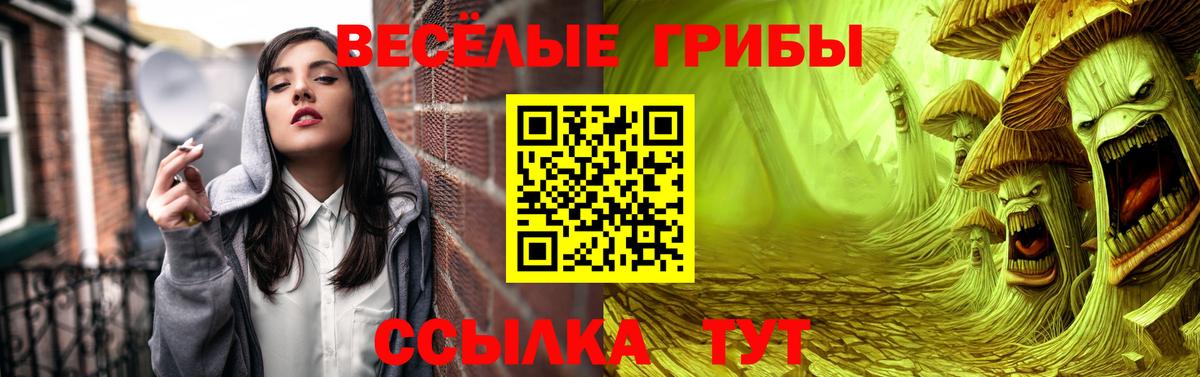 купить наркотик  Вход с VPN  Камышлов  Псилоцибиновые грибы MAGIC MUSHROOMS 