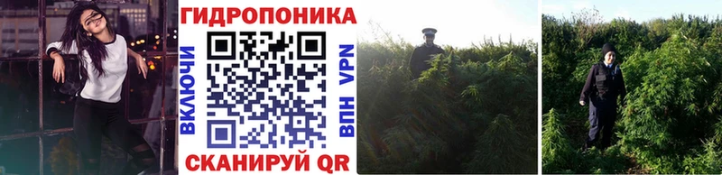 купить  сайты  Камышлов  Канабис White Widow 